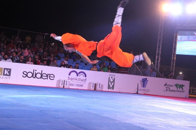Martial Arts Festival
